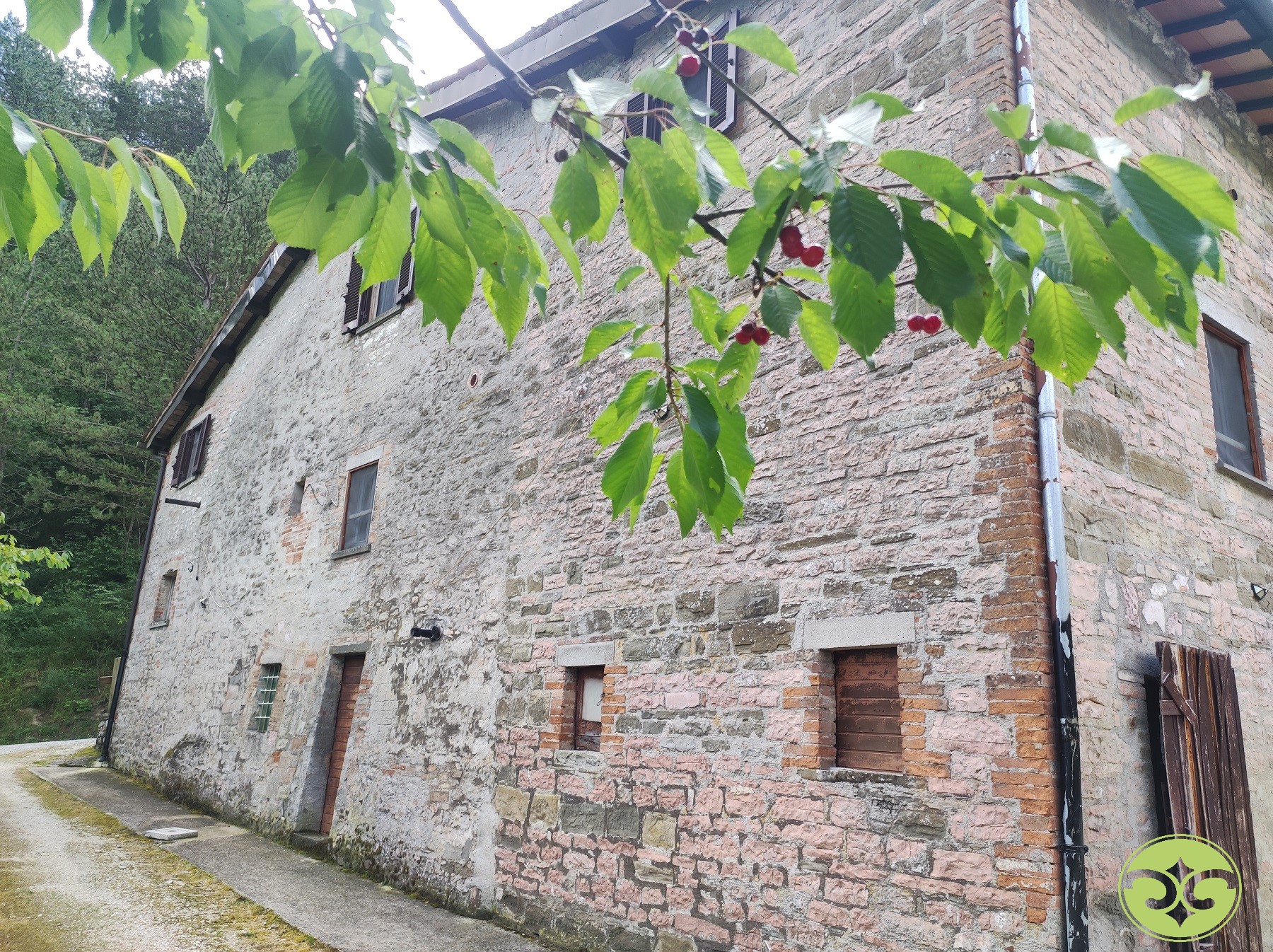gubbio main logo.jpg