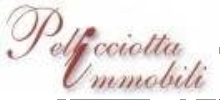 logo PELLICCIOTTA FABIO